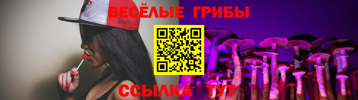 цены   Вход с VPN  Отрадное  Галлюциногенные грибы Psilocybe 